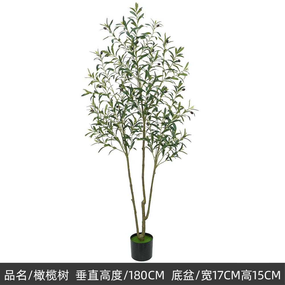 2d110bf9-3bde-450f-b401-319c50f68d3d