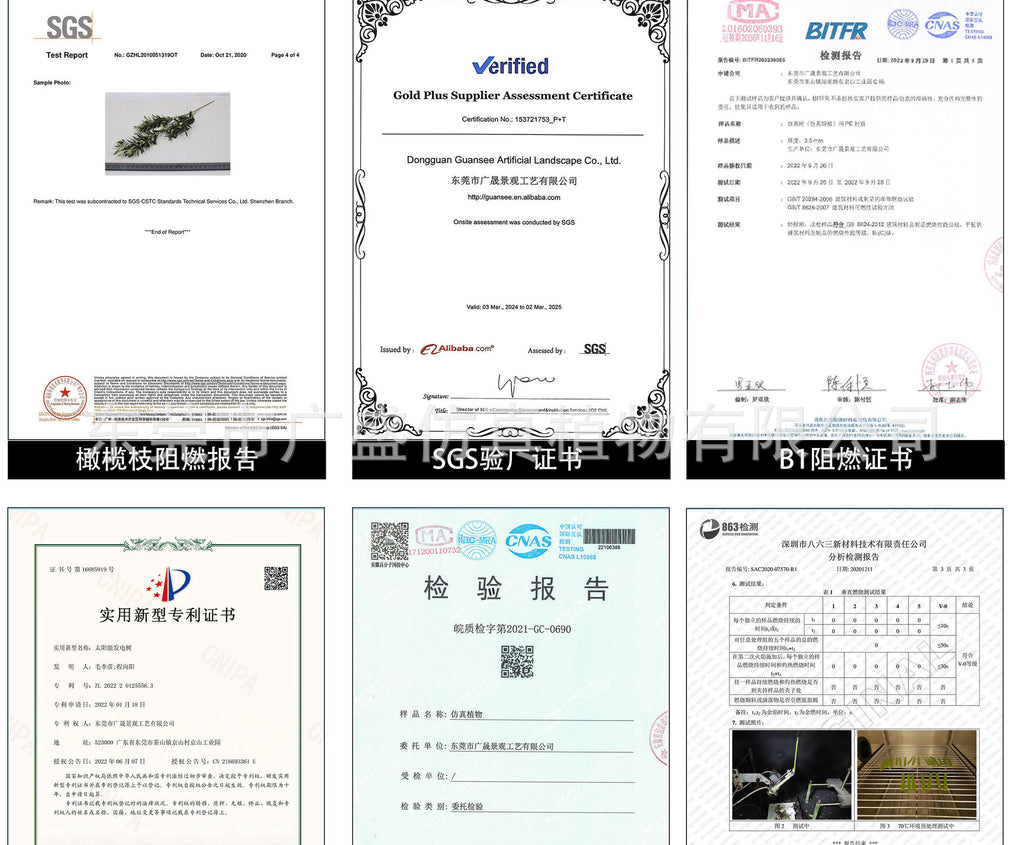 cc9fba1d-6d2b-4c4c-812a-92aa416fa15b