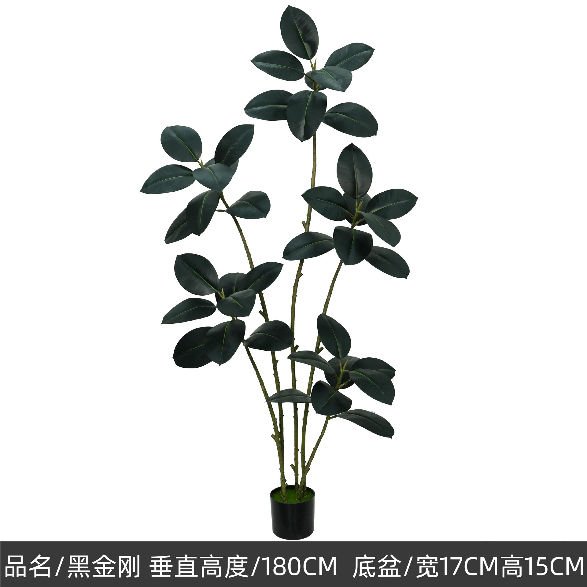 8a3abc25-383b-4bf0-abb1-ed0d3e3074d3