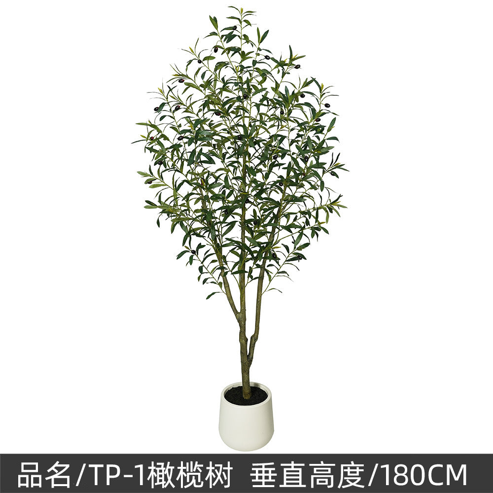 3e41aac9-341a-4d2f-92c8-8e3cb9ba2138