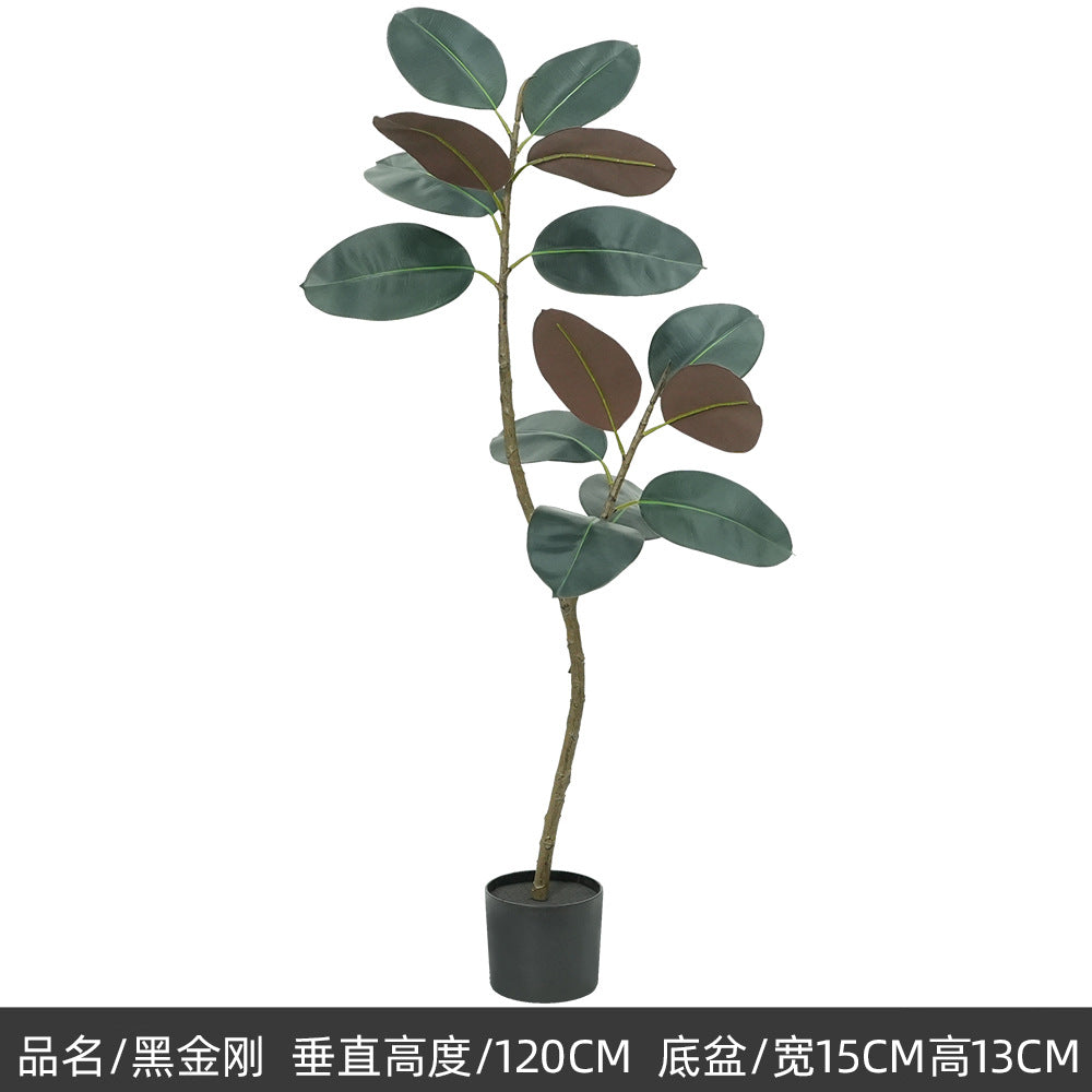 e0d97c9b-1228-4951-bf48-a6b68f2e1e81