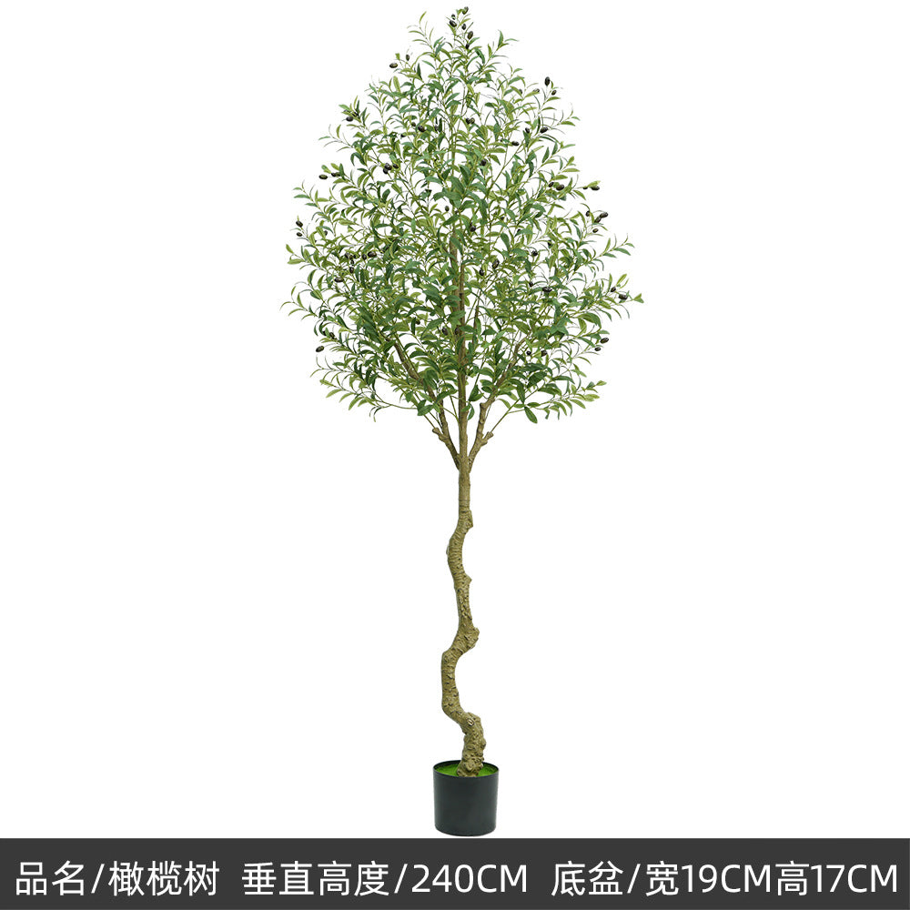 2450f1c1-276c-4869-805c-4dac8c6f2aeb