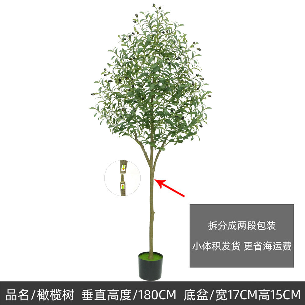 e155cf6c-30ce-4451-b7ef-b1cda767621c