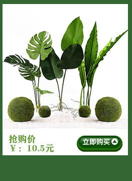 7c3fc2ac-e4eb-40db-a17a-0cfc9fe367fd