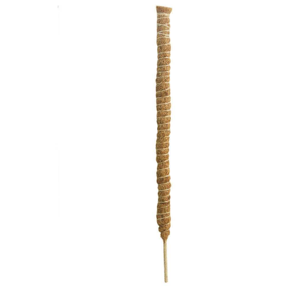 341b6dd383f5b8f1b0325f923062f63b