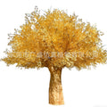f5d2dcba-43b2-44a7-9375-61337026a82a