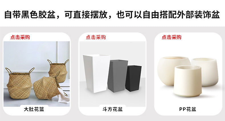 5bec9f1c-3d9e-4b33-b915-8d45c61ca0fe