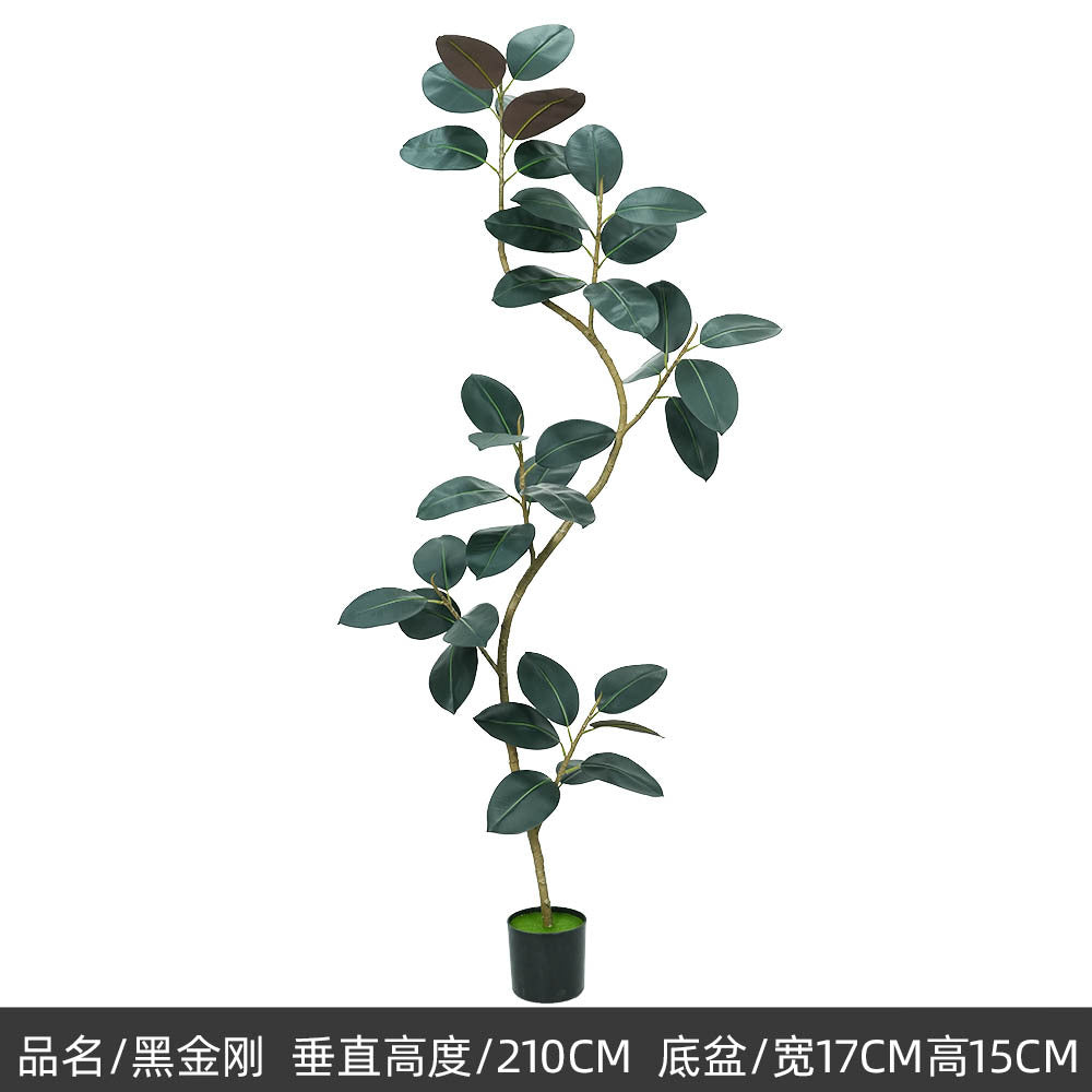 9a750779-40cf-40cd-a269-f8a83f90c1f1