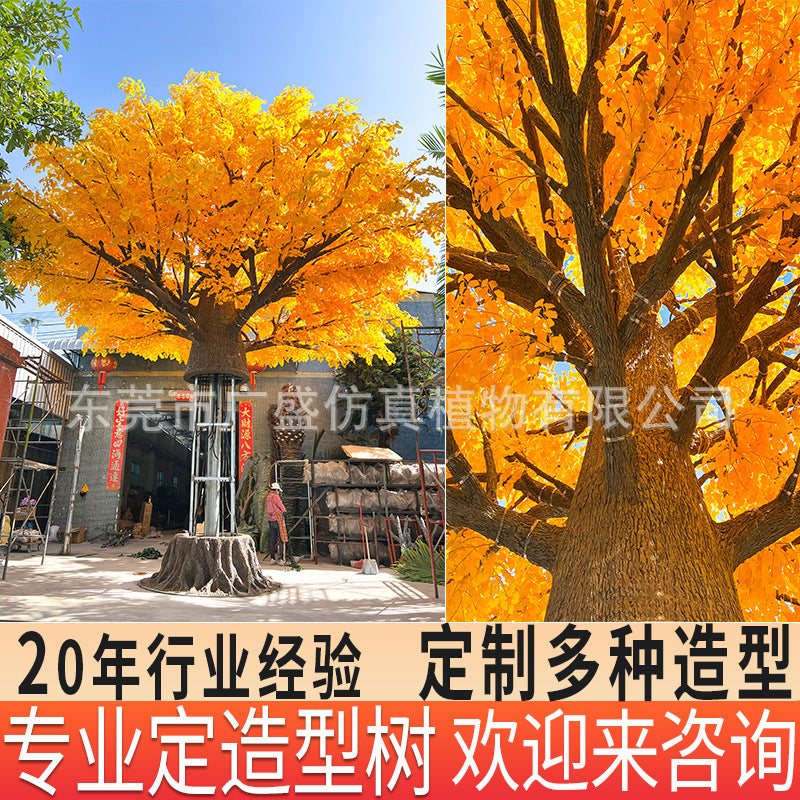 b38d5bf6-96db-404b-928e-5c2d11d6f740