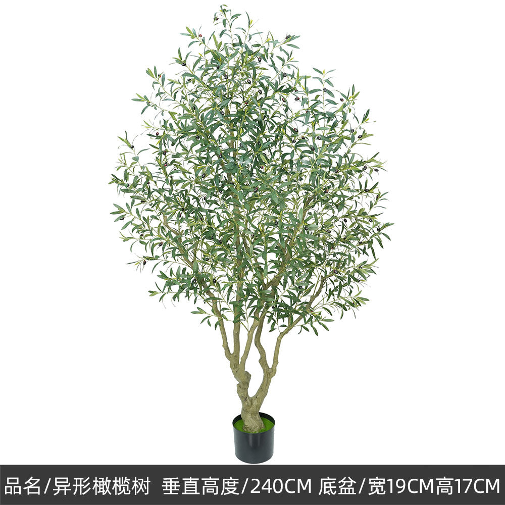 20ebd83a-aafd-4492-aaa7-db80d6921f5b