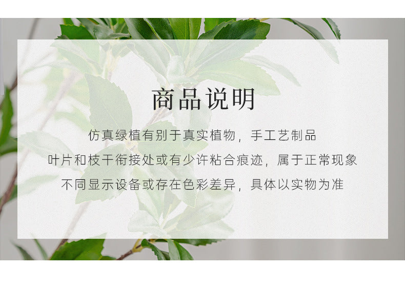 fc1f4aa0-3f24-452c-aa7f-5af458b56243